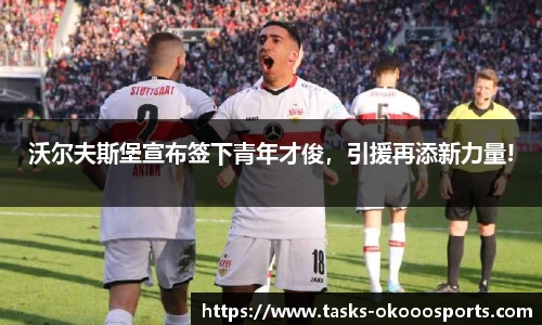 沃尔夫斯堡宣布签下青年才俊，引援再添新力量!